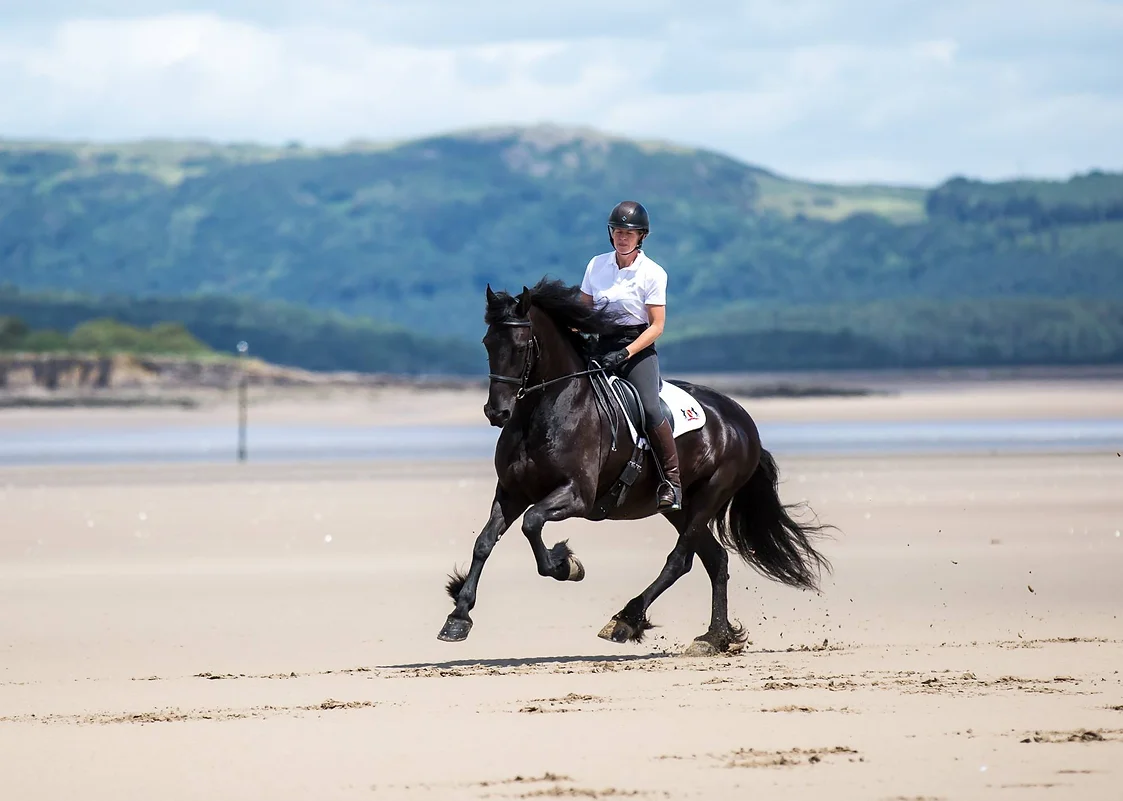 Anja (Friesian)